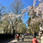 facebookとTwitterで振り返る角館〜大曲の花火春の章